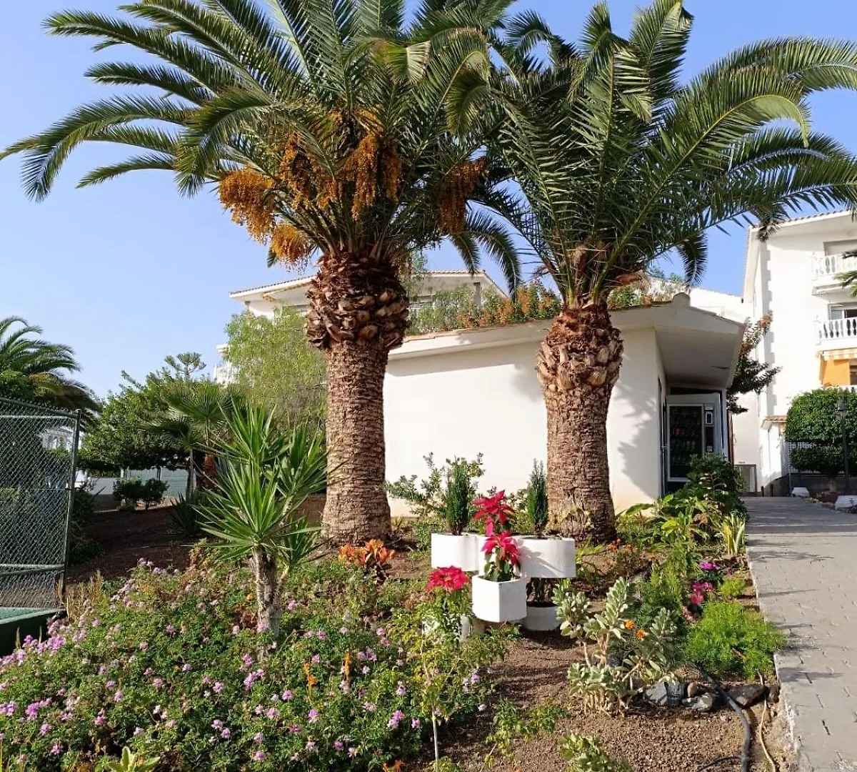 Vista Hermosa Apartment Arona   Arona (Tenerife)
